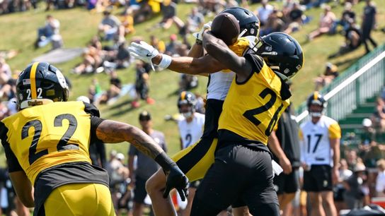 DK: My top three surprises so far taken Latrobe, Pa.. Photo by ALYSA RUBIN / STEELERS 